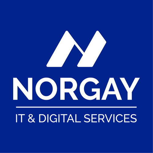 logo-norgay
